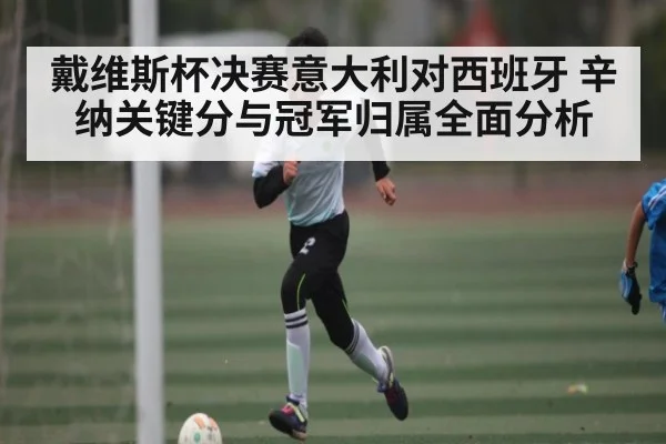 戴维斯杯决赛意大利对西班牙 辛纳关键分与冠军归属全面分析